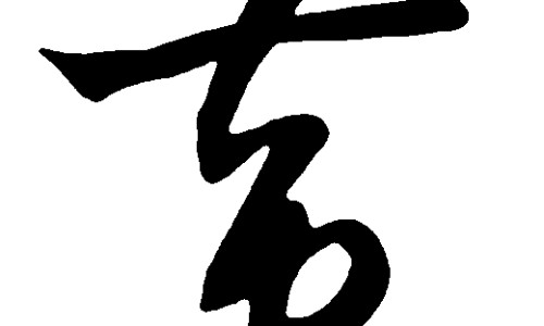 猪大肠的功效与作用网 | 猪大肠的功效与作用及禁忌,猪大肠的功效与作用危害