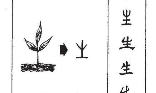 猪大肠的功效与作用危害-猪大肠的功效与作用网 | 猪大肠的功效与作用及禁忌,猪大肠的功效与作用危害