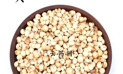 猪大肠的功效与作用网 | 猪大肠的功效与作用及禁忌,猪大肠的功效与作用危害