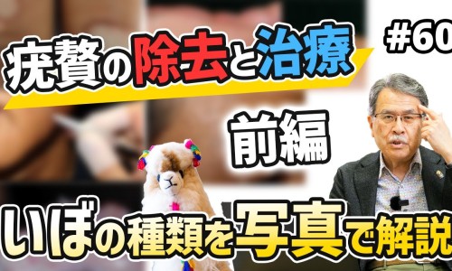 猪大肠的功效与作用-猪大肠的功效与作用网 | 猪大肠的功效与作用及禁忌,猪大肠的功效与作用危害